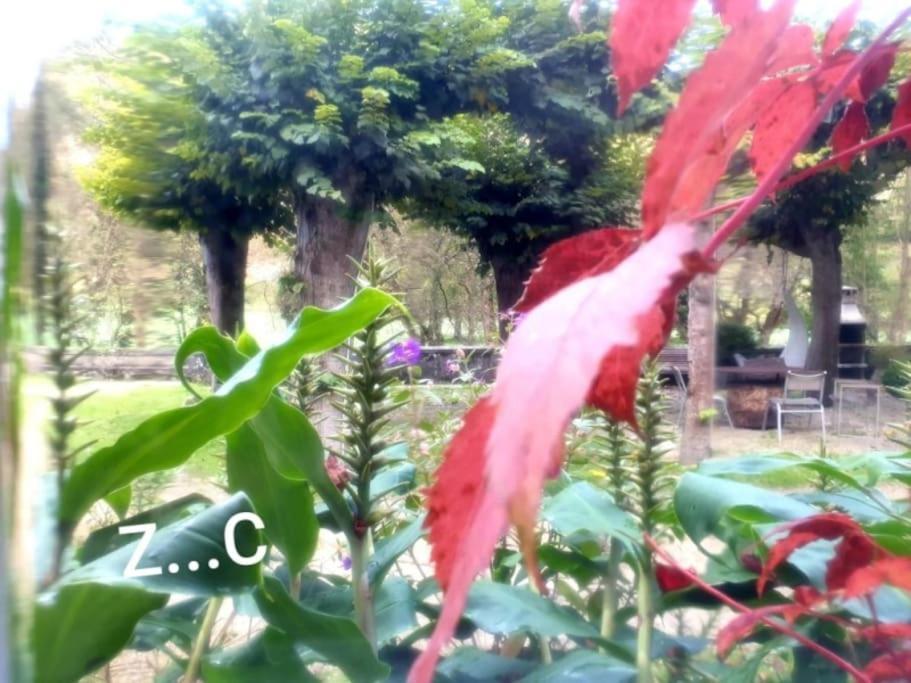 벨몬트데미란다 Zentral Club Neutron-Jacuzzi 아파트 외부 사진